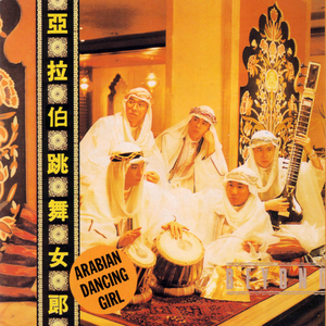 亚洲女孩淫荡毛片
