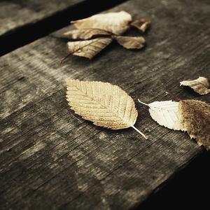 亚洲女孩淫荡毛片
